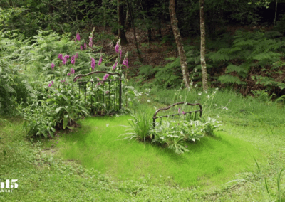 Une composition végétale dans le jardin des utopies