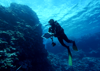 Un plongeur étudie les fonds marins des eaux néo-calédonienne
