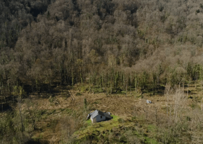 Un terrain dévasté par des bucherons qui ont clandestinement volé des arbres et saccagé un terrain privé