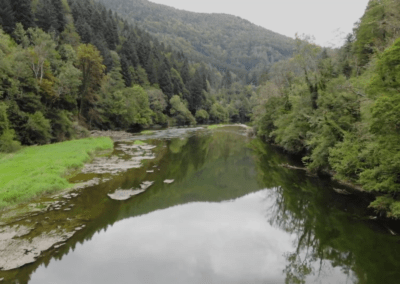 Une rivière polluée par l'élevage des vaches productrice de Comté