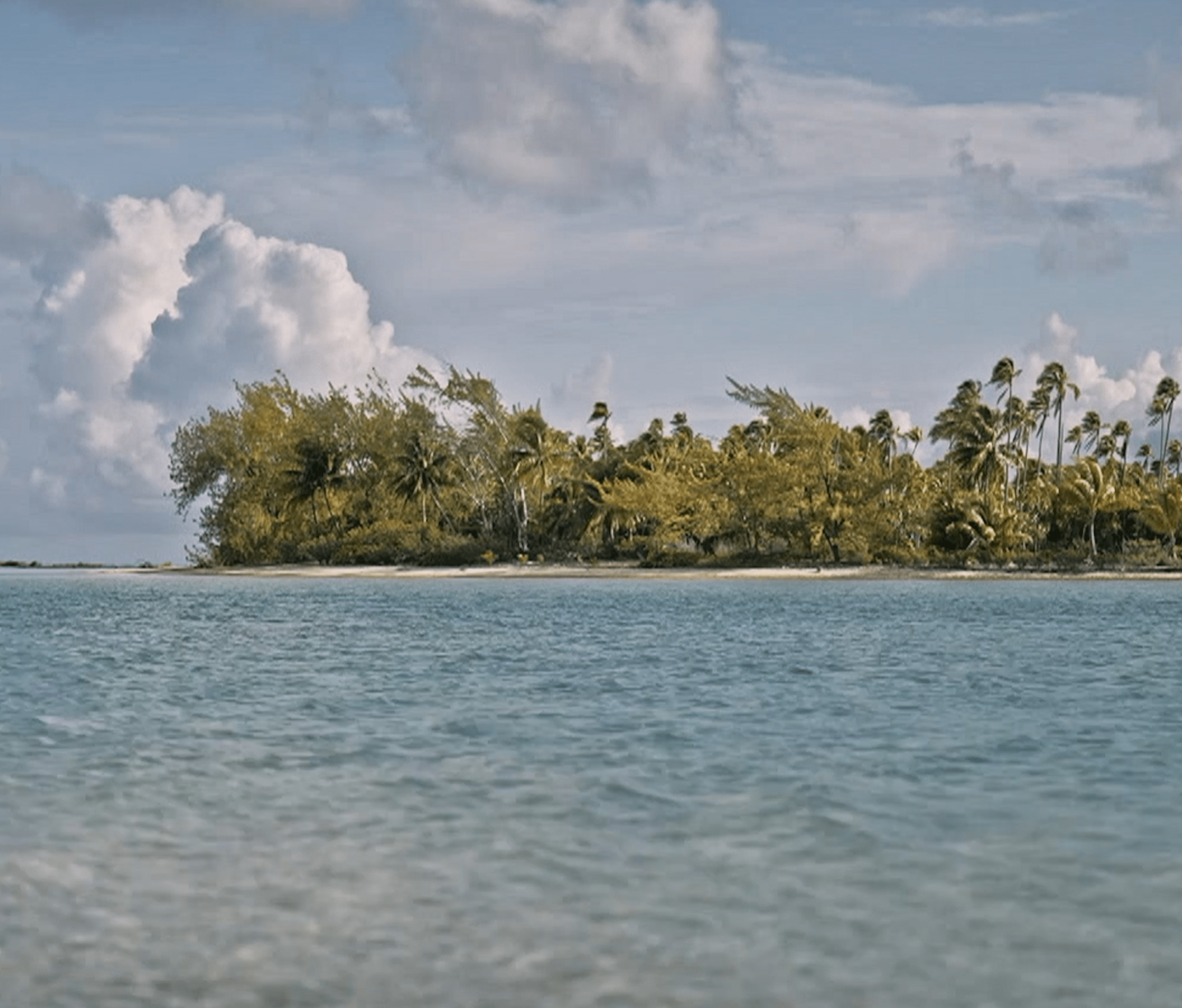 Un atoll nommé désir